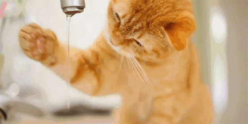 -2397987380027307301.gif