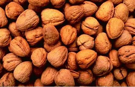 几个月的宝宝可以吃核桃吗 -4255776761405028478.jpg