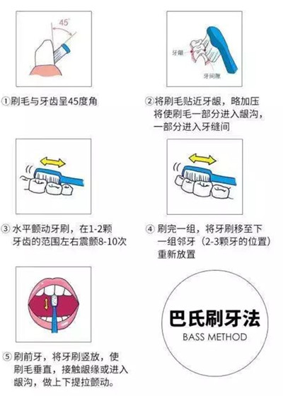 巴氏刷牙法图解图片